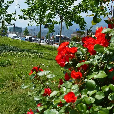 Profumo Di Basilico Apartman *