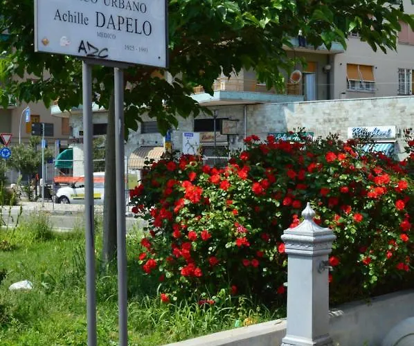 Profumo Di Basilico